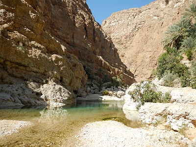 139 Oasis wadi shab
